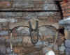 7.jpg (56305 byte)