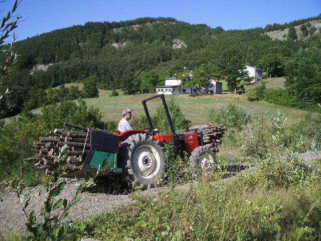 3 Ghigo, la legna e il Percigolo.jpg